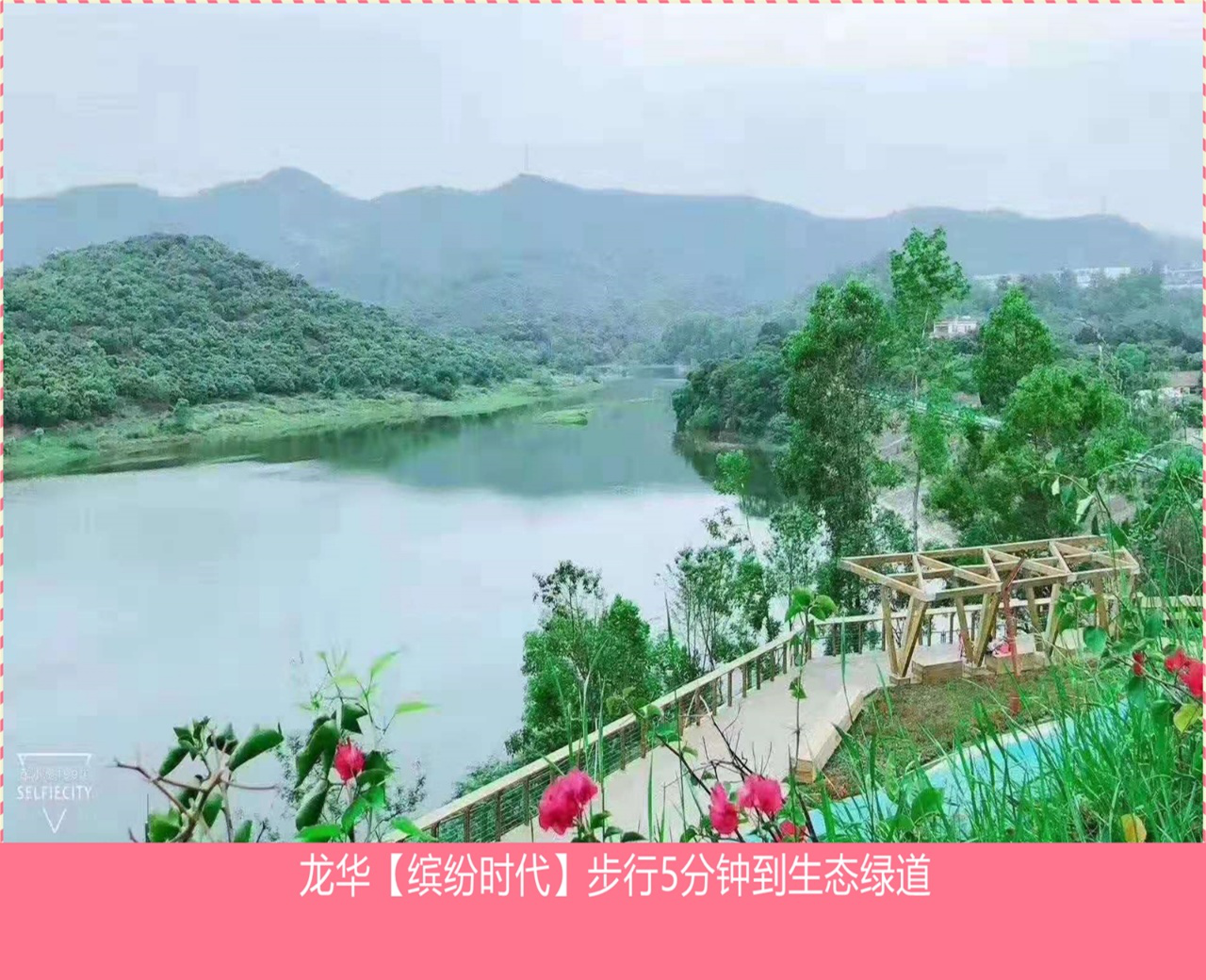 1602727747448864.png 1602727747448864.png