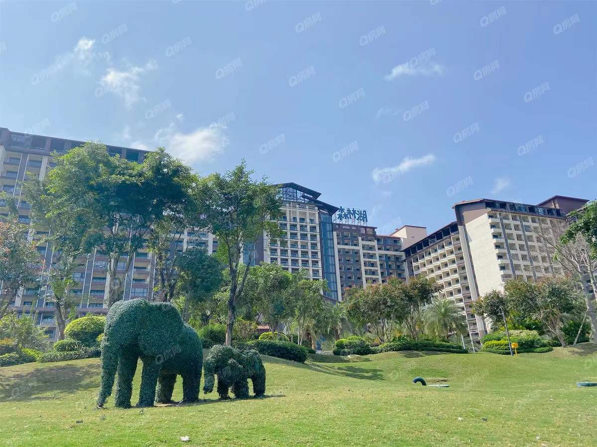 碧桂園森林湖-均價11000元/平